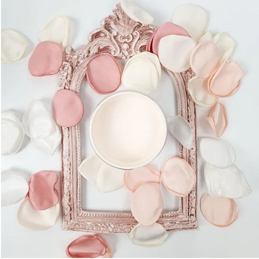 A pale peach paint in a small pot centred inside a painted decorative frame, surrounded by petals. Paint Couture