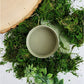 A small pot of green paint surrounded by moss. Paint Couture