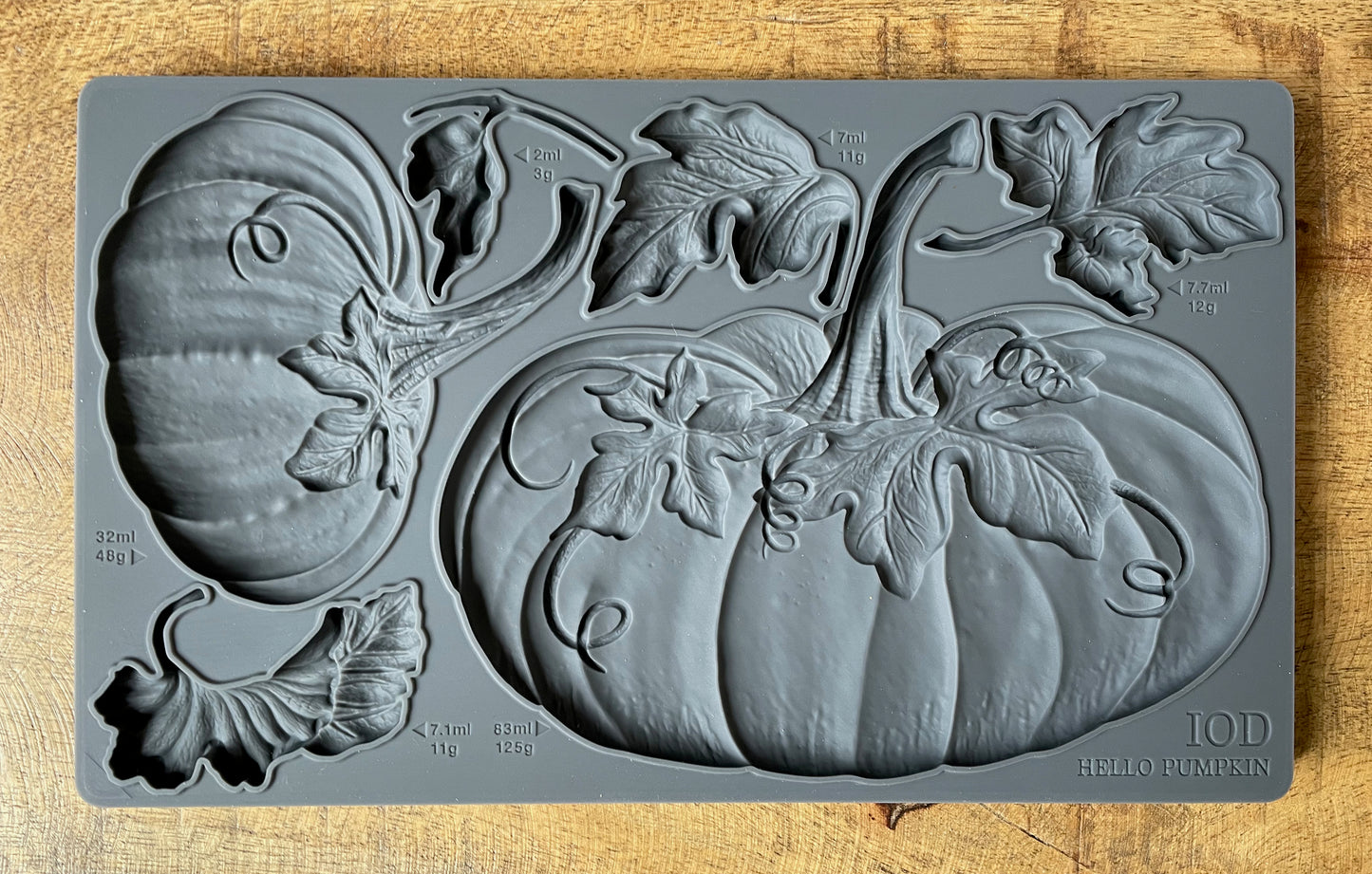 Iron Orchid Designs - Mould - Hello Pumpkin - ***Limited Edition***