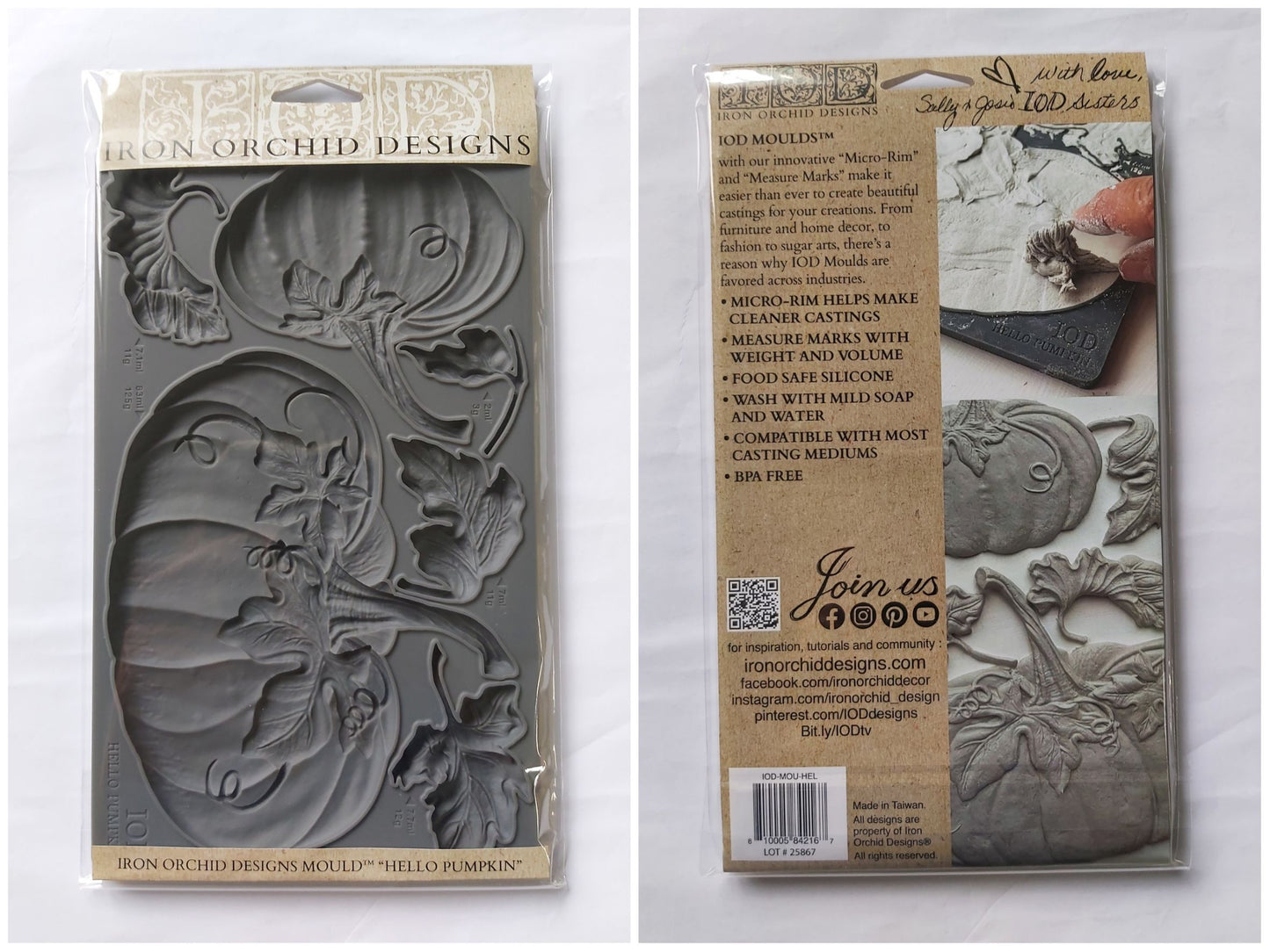 Iron Orchid Designs - Mould - Hello Pumpkin - ***Limited Edition***
