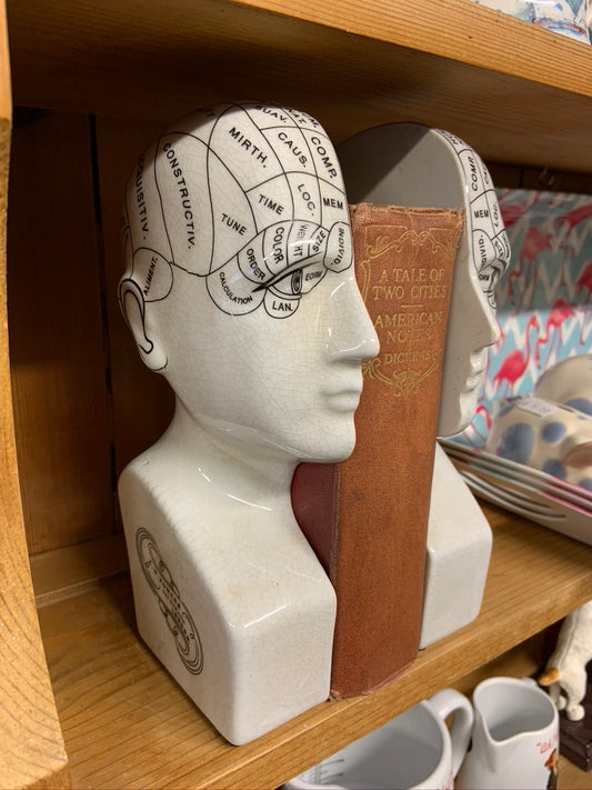Phrenology Bookends