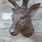Brown Stag's Head with Birds