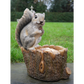 Squirrel Feeder