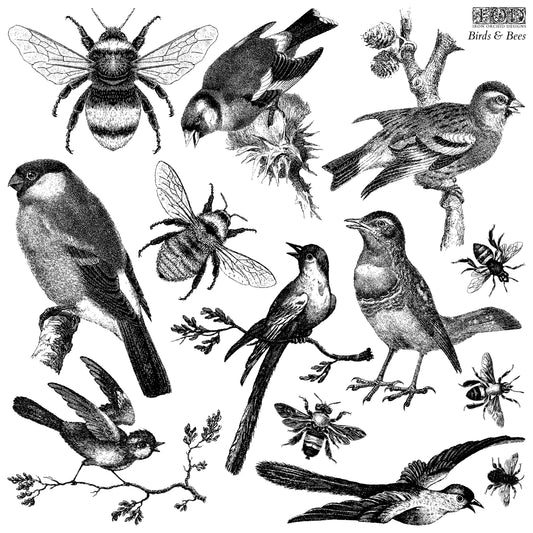 Five birds with an assortment of bees on iron Orchid Designs Birds & Bees 12" x 12" stamps