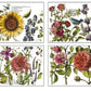 Brightly coloured florals showing iron Orchid Designs Botanist's Journal Transfer split into four sheets
