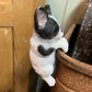 French Bulldog Pot Hanger