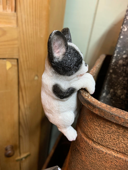 French Bulldog Pot Hanger