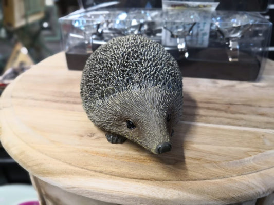 Small Brown Hedgehog