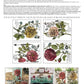 Iron Orchid Designs Ladies in Waiting Transfer back of packet
