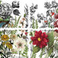 Bold coloured florals, leaves and a blue bird with a long tail split into four sheets on a white background from Iron Orchid Designs Midnight Garden Transfer