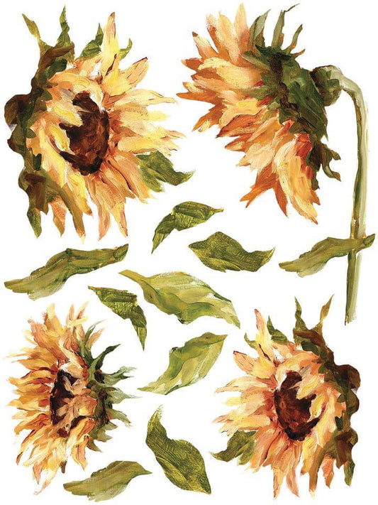 Four big yellow sunflowers Iron Orchid Designs Painterly Florals Transfer on a white background