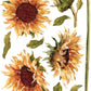 Three big yellow sunflowers with leaves and stems Iron Orchid Designs Painterly Florals Transfer on a white background