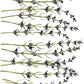 Sprigs of purple lavender from Iron Orchid Designs Painterly Florals Transfer on a white background