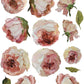 Pink roses and leaves from Iron Orchid Designs Painterly Florals Transfer on a white background