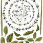 Circles of lavender, leaves and stems from Iron Orchid Designs Painterly Florals Transfer on a white background