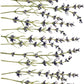 Sprigs of purple lavender from Iron Orchid Designs Painterly Florals Transfer on a white background