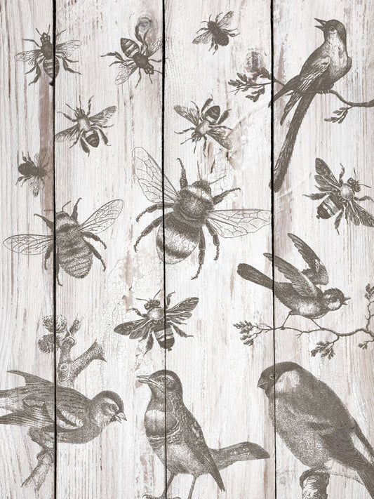 Wallpaper effect created by using iron Orchid Designs Bird & Bees samps