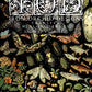 Fish, fungi, butterflies, flowers, insects, vegetable, eggs, botanical images on Iron Orchid Designs Millot's Pages Transfer front of packet