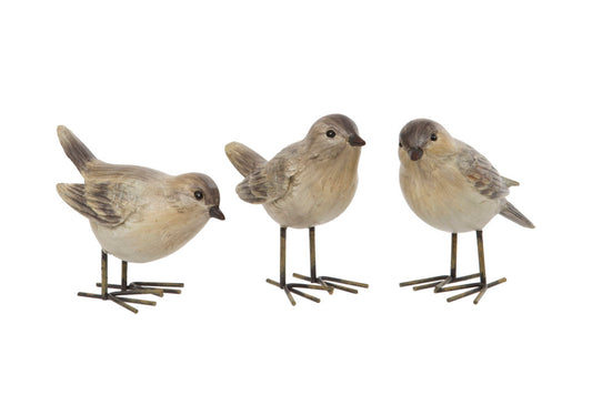 Finches set of 3 birds
