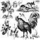Large cockerel with leaves and florals on Iron Orchid Designs La Campagne stamp sheet one