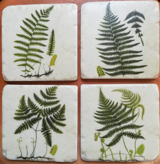 Set of Four Ceramic Fern Coasters