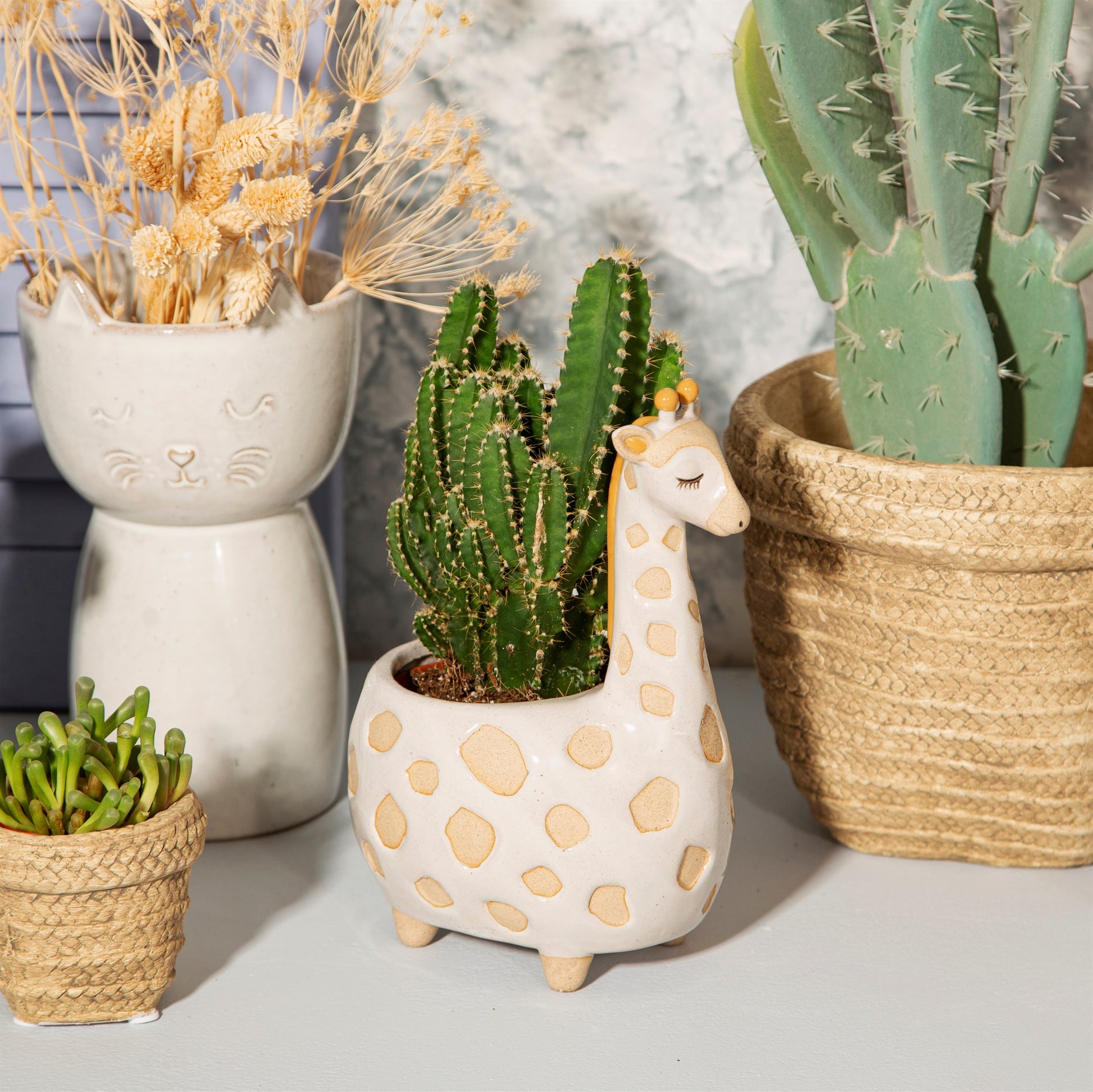 giraffe succulent pot Giraffe Planter