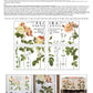 Iron Orchid Designs Floral Parisienthis Transfer back of packet
