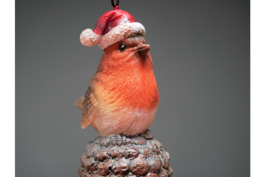 robin-on-acorn-christmas-close-up