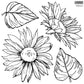 Iron Orchid Designs Sunflowers 12" x 12" stamp sheet one