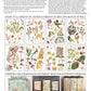  Iron Orchid Designs Whispering Willow Transfer back of packet